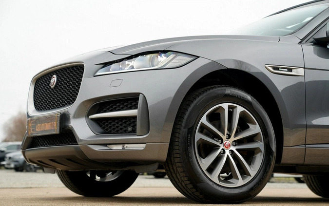 Jaguar F-Pace cena 104700 przebieg: 120157, rok produkcji 2019 z Otmuchów małe 781